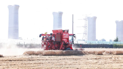 Harvesting with AI: LOVOL Public Welfare Machine Harvesting Alliance 